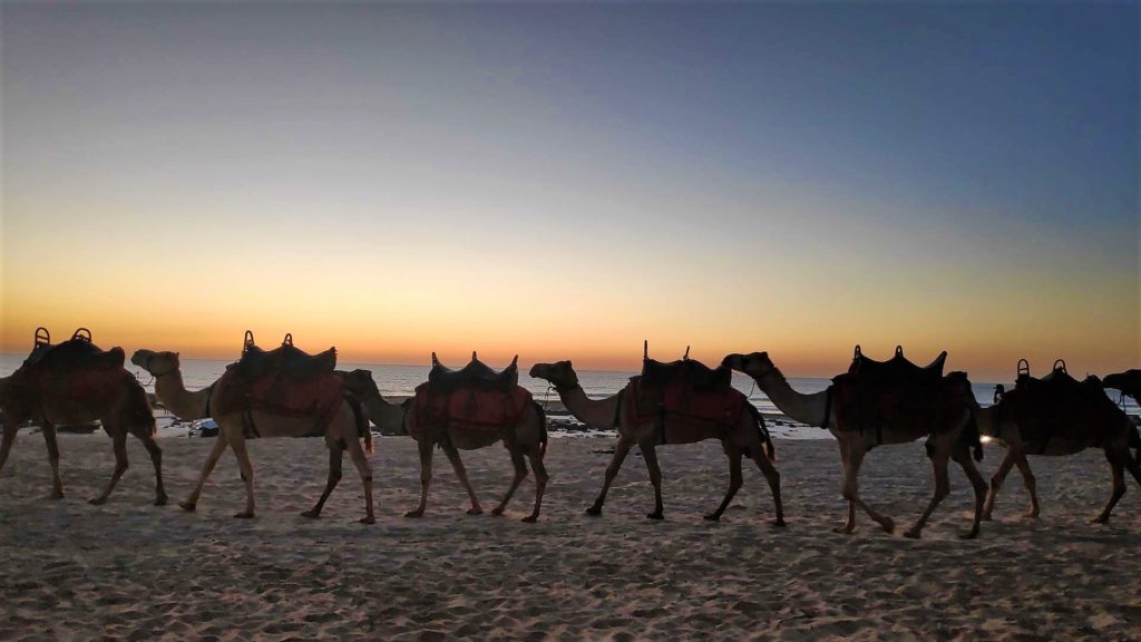 las 10 mejores playas de Australi