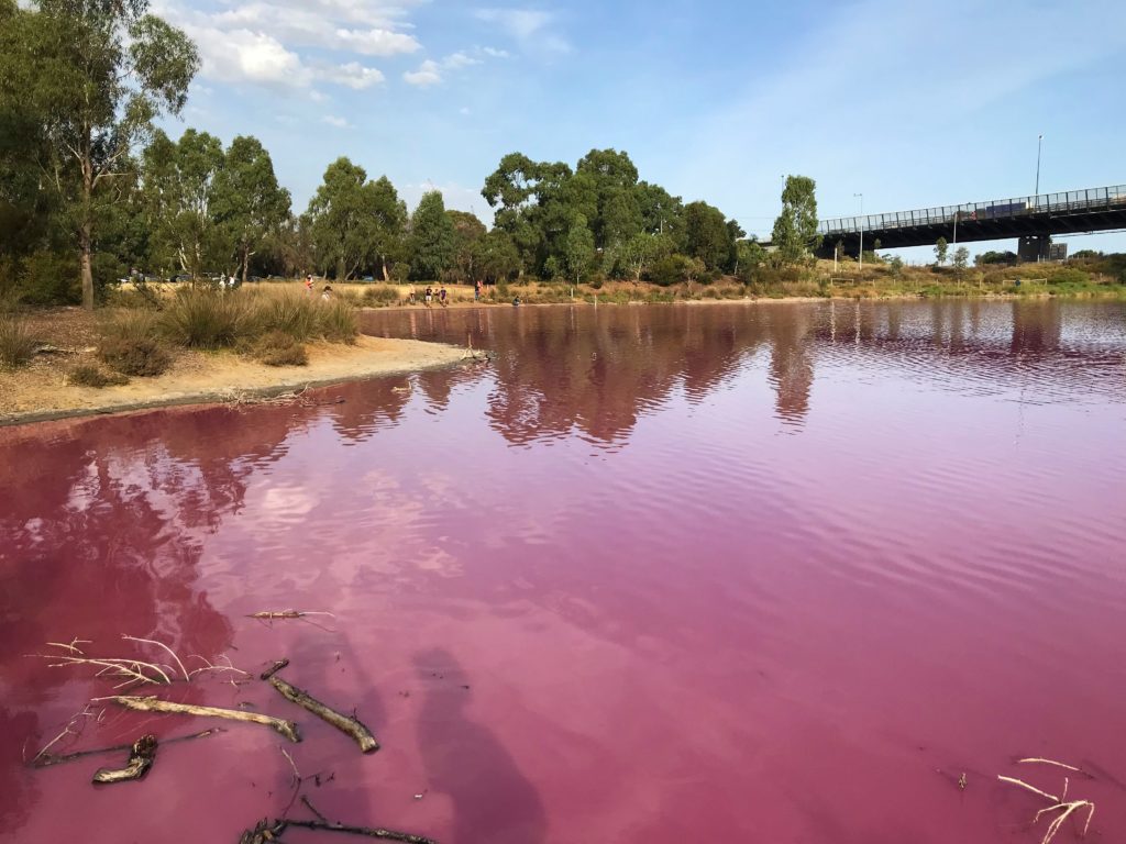 Pink Lake - Melbourne