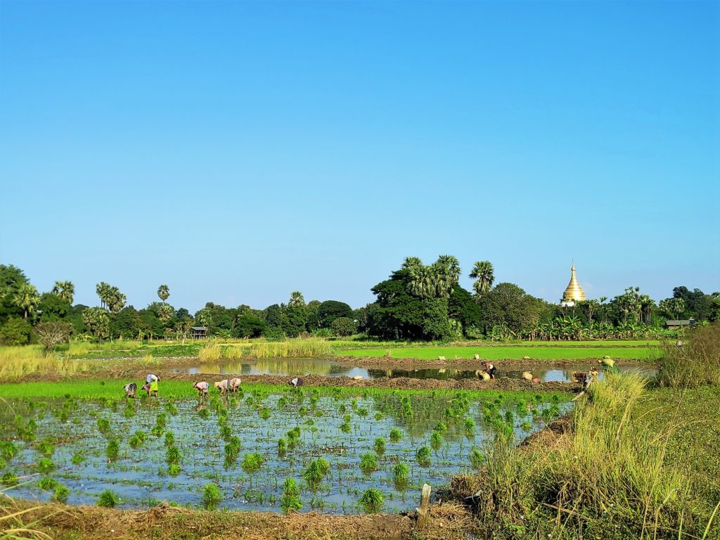 Visitar Inwa en Mandalay