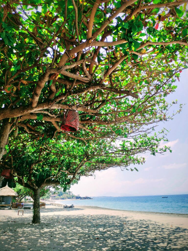 playa cafè alberto lombok diamante en bruto de indonesia