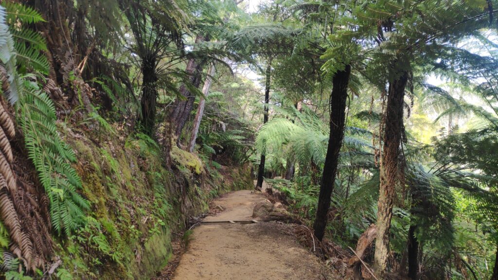 trekking Abel Tasman National Park 2