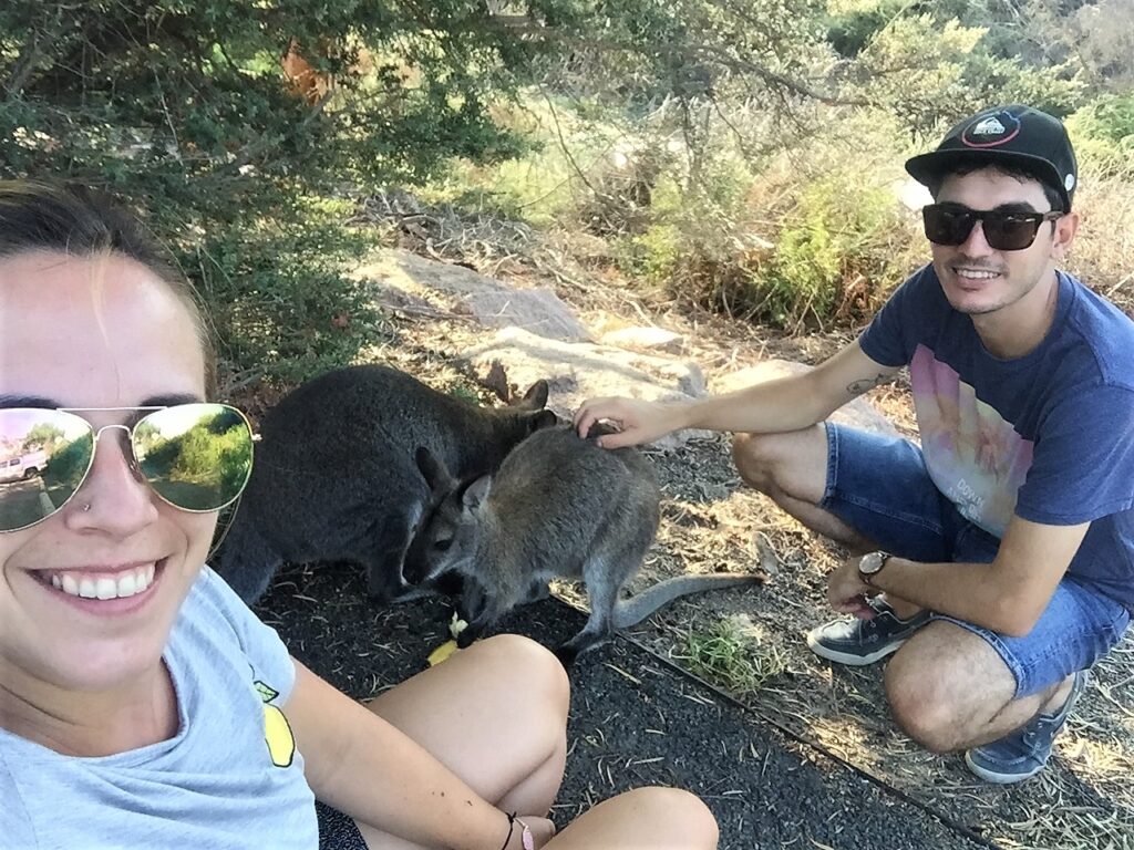 Canguros en Wineglass Bay - Tasmania