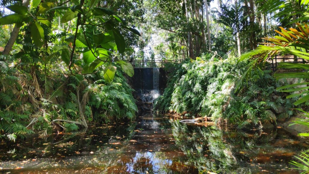 Jardin Botanico - Darwin, Northern Territory
