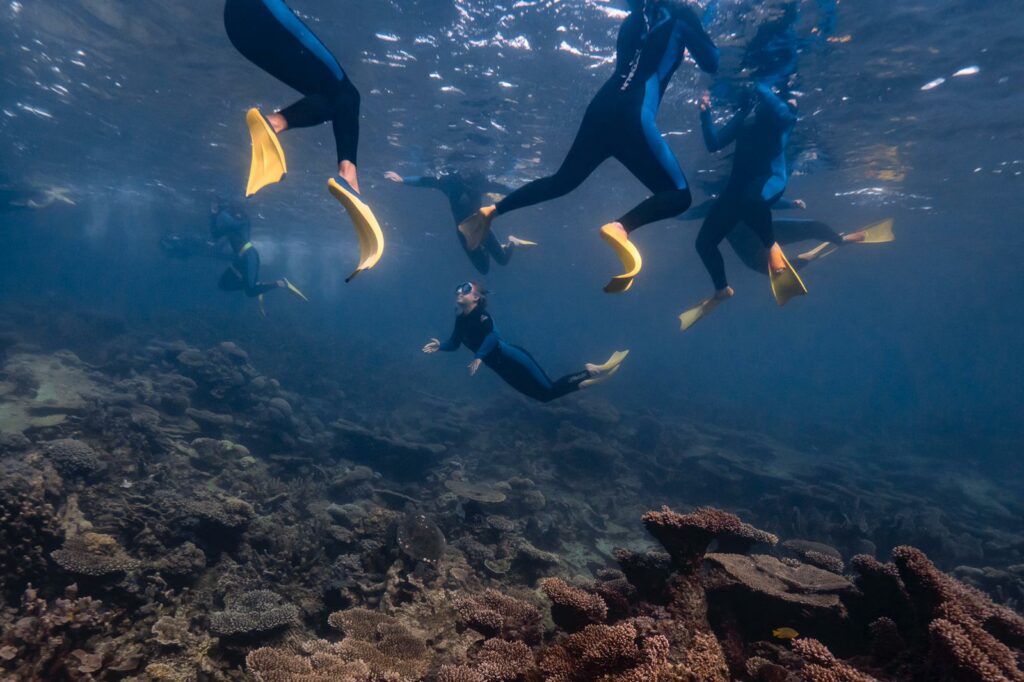 Snorkeling en la Coral Coast - Western Australia